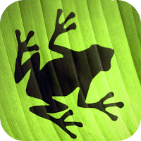 Jumping Frog Strategy