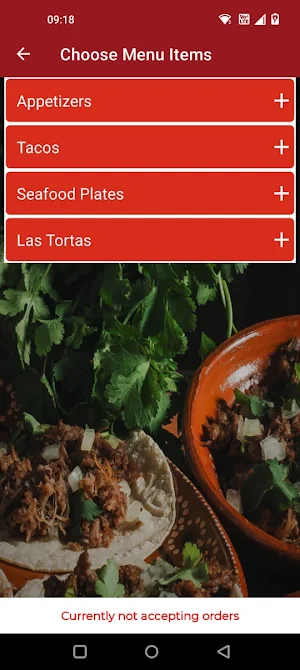 El Canal Mexican Restaurant Screenshot 3