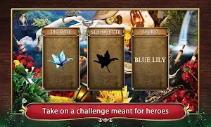 Hidden Objects: Mystery of the Enchanted Forest Screenshot 1