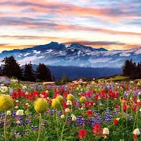 Beautiful landscapes