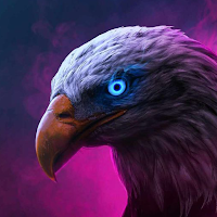 Aesthetic Eagles Wallpaper 4K