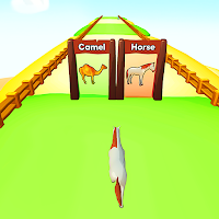 Animal Run