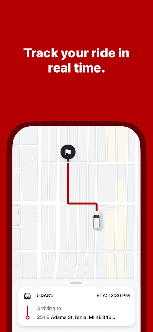 I-DART Screenshot 3