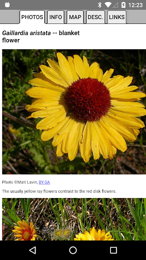 Idaho Wildflower Search Screenshot 2