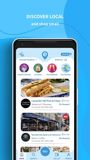 Local eCoin Screenshot 0