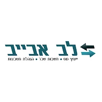 לב אבייב יועץ מס