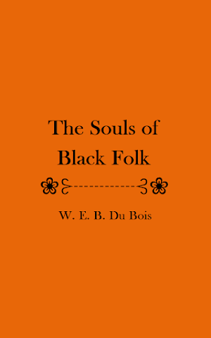 The Souls of Black Folk eBook Screenshot 3