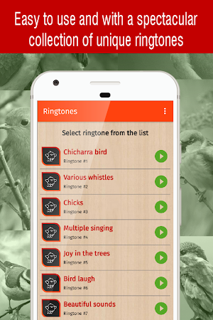 bird ringtones for phone, bird sounds ringtones Screenshot 1