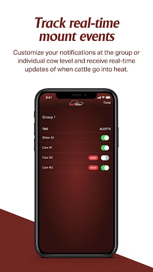 HeatSiecker Screenshot 3