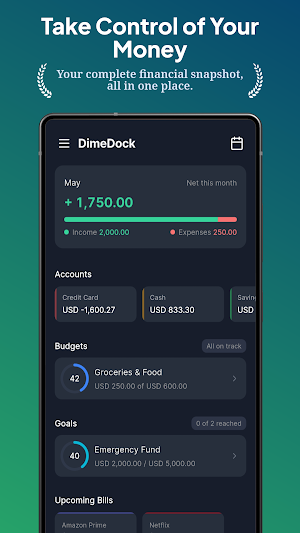 DimeDock: Money Manager Screenshot 0