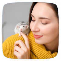 Pet Rat Care Guide