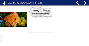 Gesatel SAV mobile Screenshot 3