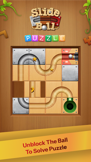 Slide The Ball Puzzle Game Screenshot 1