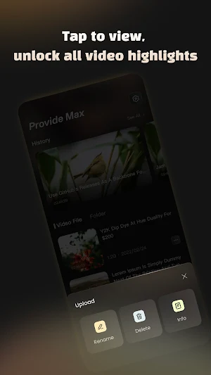 Provide Max-Pure Audio Video Screenshot 2