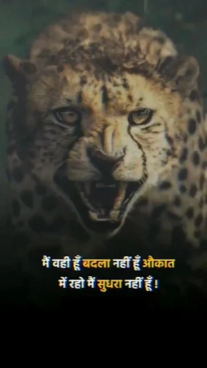 Hindi Attitude Status Screenshot 0