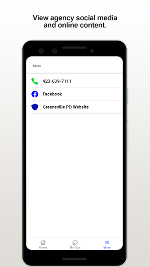 Greeneville PD Screenshot 2