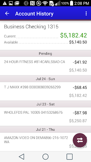 Salyersville National Bank Screenshot 1