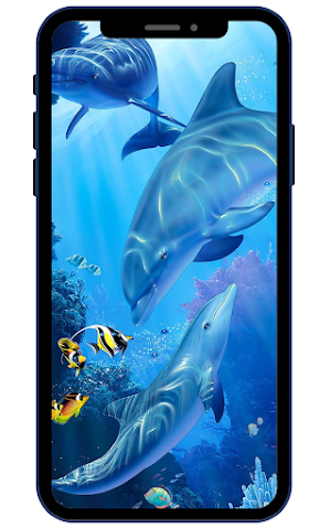 Dolphin Wallpapers Screenshot 1