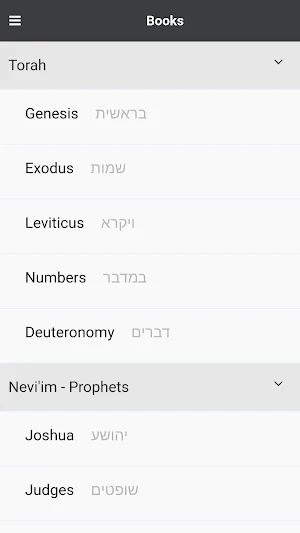 Hebrew Bible Now - Tanakh Screenshot 0