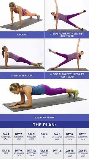 Plank Workout Core Excercise Screenshot 2