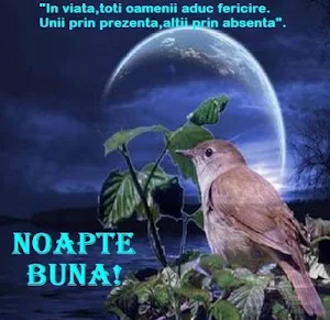 Buna Dimineaţa Noapte Bună Screenshot 3