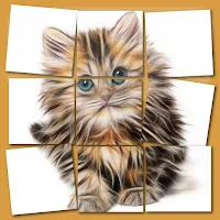 Dogs and Cats puzzle