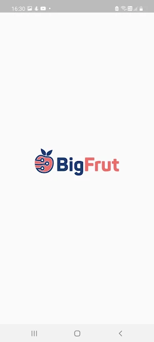 Bigfrut Screenshot 0