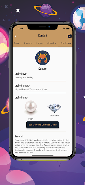 Bhrugu Astrology Screenshot 2