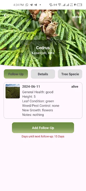 Life Forestry Screenshot 2
