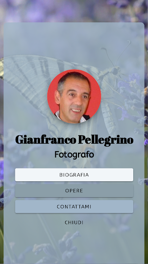 Gianfranco Pellegrino Screenshot 1