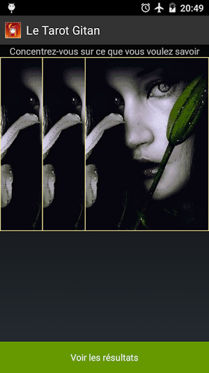 Le Tarot Gitan Screenshot 2