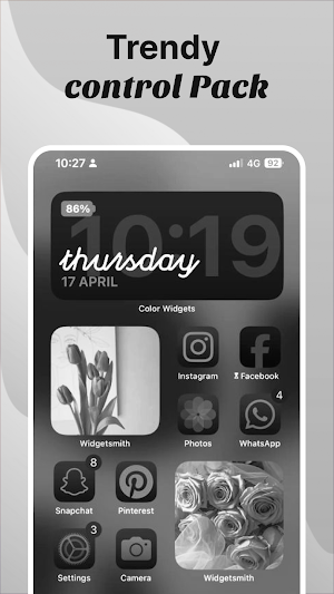 iThemes- Icon & Widget Control Screenshot 3