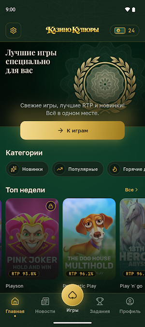 Casino Banknotes Screenshot 0