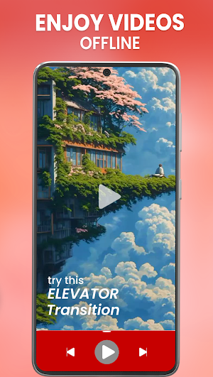 Video Downloader for Pinterest Screenshot 3