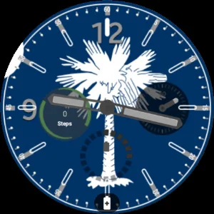 South Carolina Flag Watchface Screenshot 0