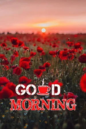 good morning images 2024 Screenshot 3