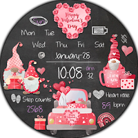 BFF11-Gnomes Car Valentine Day