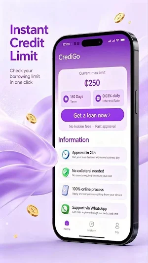 CrediGo Screenshot 2