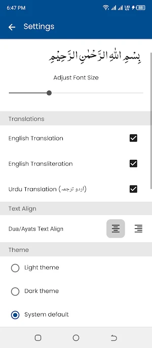 Surah Nasar (سورة النصر) Screenshot 3
