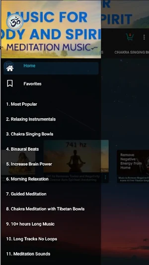 Music For Body and Spirit Screenshot 0