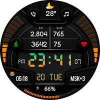 Digital Sport BPV1 Watch Face