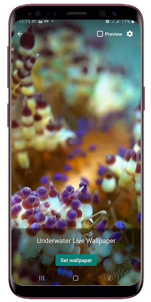Underwater Live Wallpaper Screenshot 2