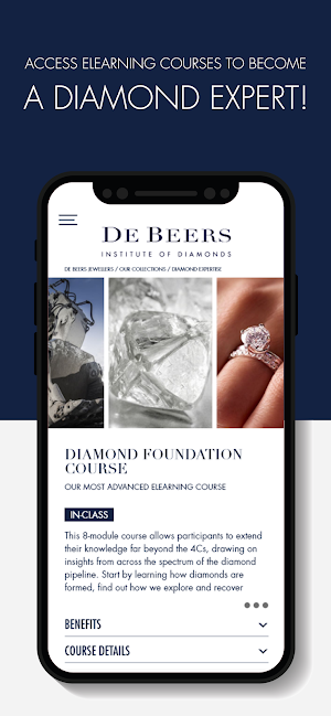 De Beers Education Screenshot 1
