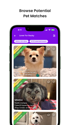 Petmeetly - Pet's Match Finder Screenshot 1
