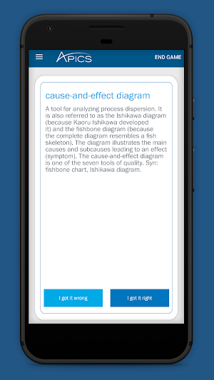 APICS Dictionary Screenshot 2