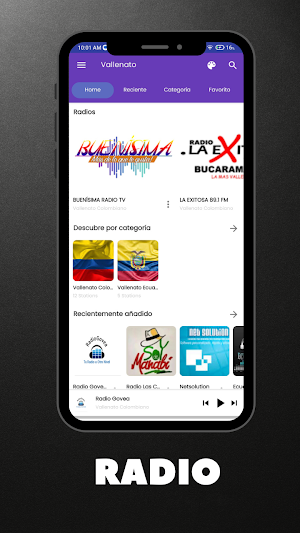Musica Vallenato Romantico Screenshot 0
