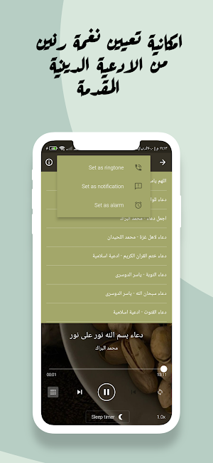 القران السيد سعيد بدون نت Screenshot 1