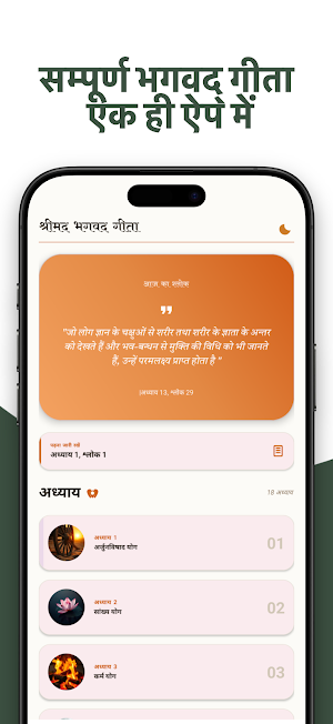 Hindi Bhagavad Gita Screenshot 0