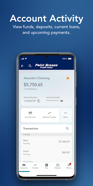Point Breeze Credit Union Screenshot 2