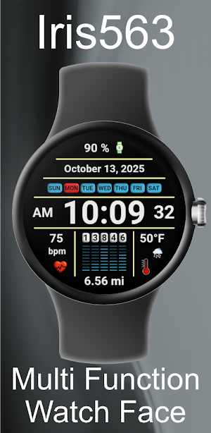 Iris563 Multi-Function Digital Screenshot 0